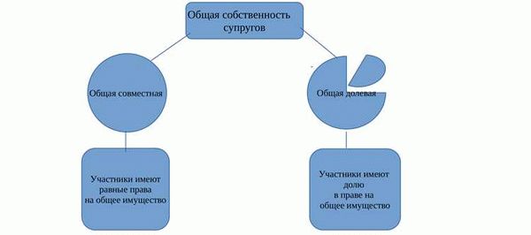 Понятие и виды права общей собственности: