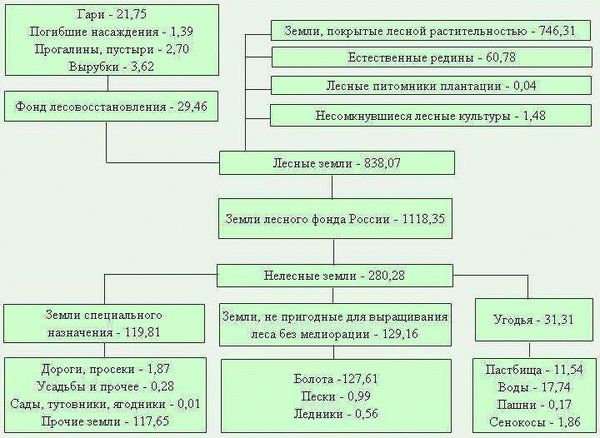 Собственность на лесные земельные участки