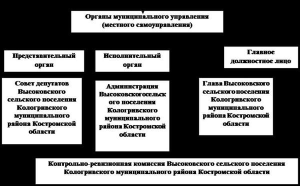 Процедура выборов представительного органа муниципального образования