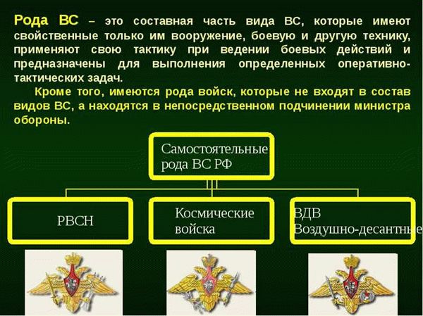 Виды и рода войск Вооруженных Сил Российской Федерации, их состав и предназначение