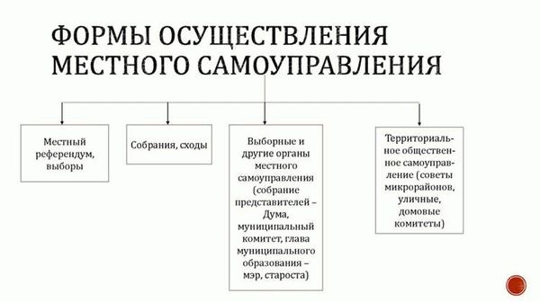 Формы организации местного самоуправления