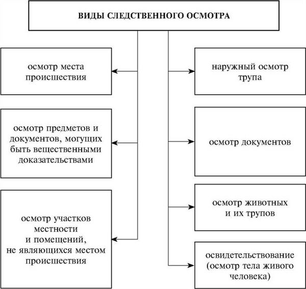 Задачи осмотра места