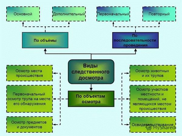 Понятие и виды следственного осмотра