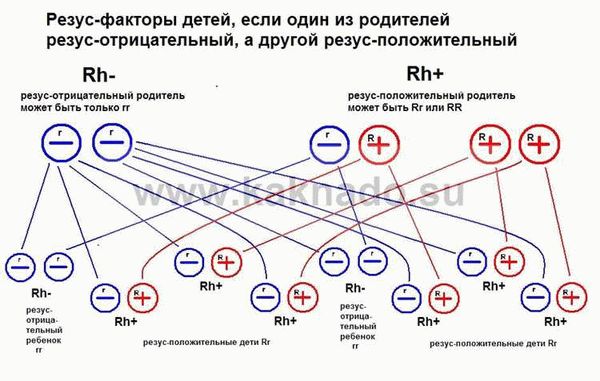 Современные технологии в репродуктивной медицине