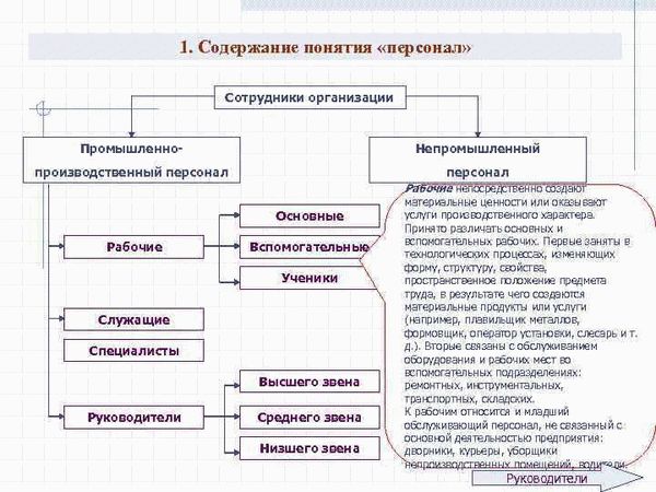 Административный персонал - понятие, профессии, состав, функции - Народный СоветникЪ