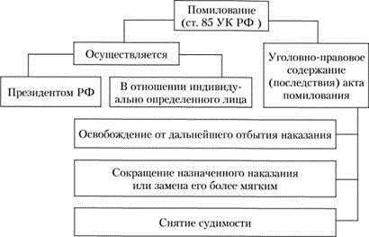 Прошение о помиловании Президенту России