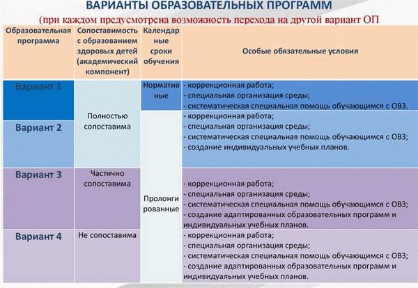 Что означают виды ОВЗ и как их расшифровать