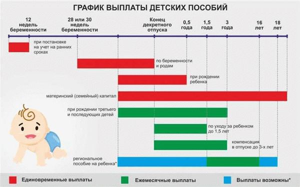 Как начисляются выплаты во время декретного отпуска?