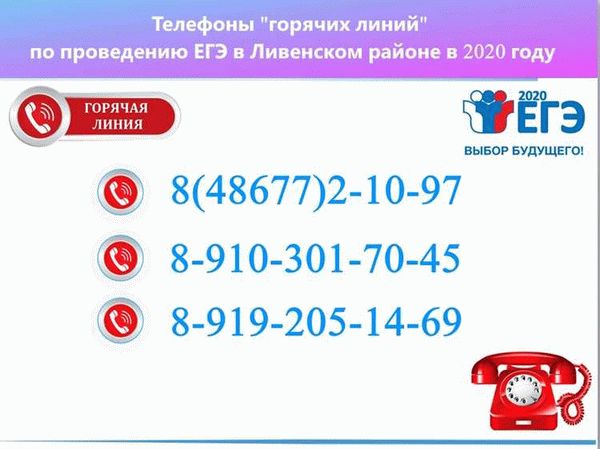 Как написать в службу поддержки?