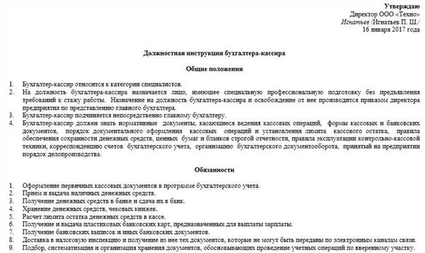 Должностная инструкция бухгалтера по расчету заработной платы: основные положения