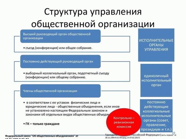 Полномочия руководителя юридического лица