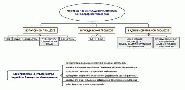 Экспертиза по гражданским делам. Кто назначает судебную экспертизу. Кем назначается экспертиза в уголовном процессе. Судебная экспертиза в уголовном судопроизводстве. Судебная экспертиза в уголовном процессе назначается.