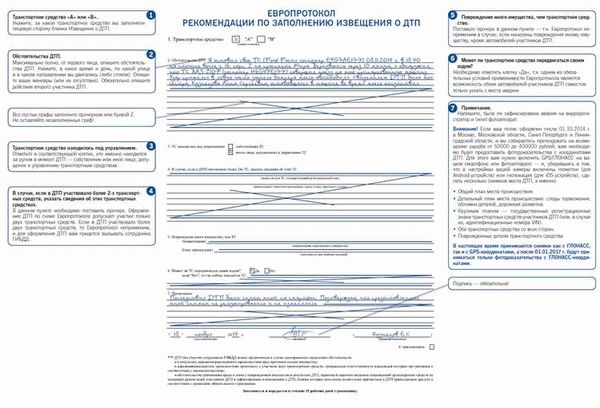 Европротокол: кто может его оформить?