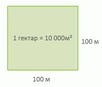 Площадь в гектарах