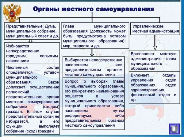 Типы органов местного управления