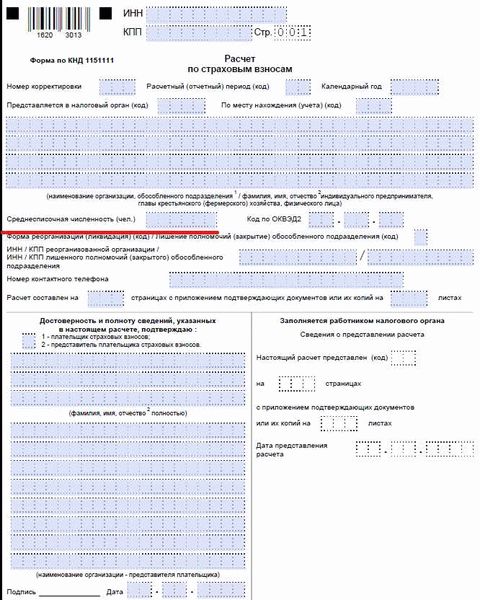 ИП без работников - обязательная налоговая отчётность 2024 года