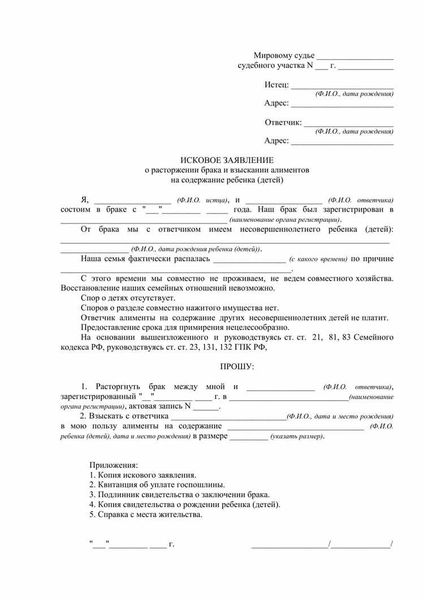 Исковое заявление о взыскании алиментов на ребенка: как подать в суд, образец 2022