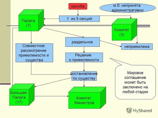 Структура жалобы в Европейском суде по правам человека (ЕСПЧ)