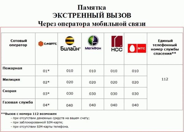 Приложение МВД России для оперативной связи с полицией