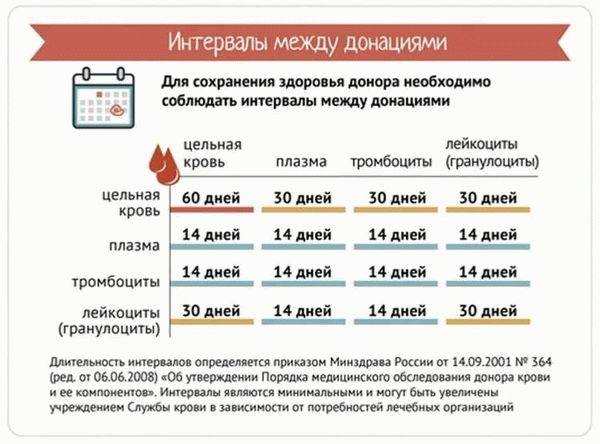 Рекомендации до и после сдачи крови для почетным донором в 2024 году