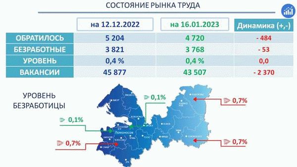 Выбрать компанию для сопровождения