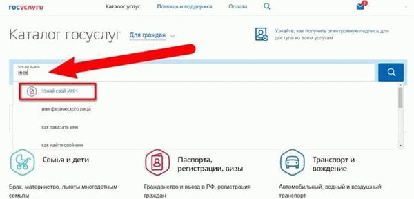 Необходимые документы для оформления