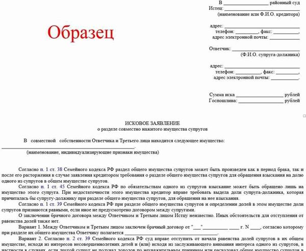 Проверка информации о исках в мировых судах