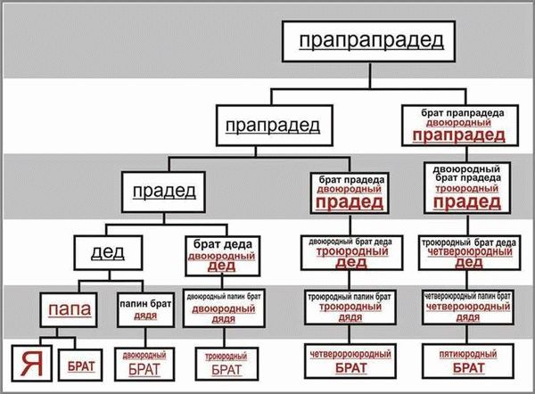 Родственники мужа и жены обретают новые степени родства