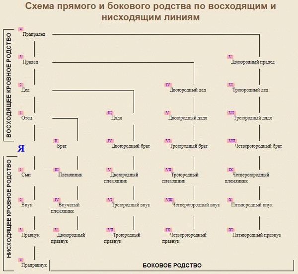 Дети становятся внуками и племянниками