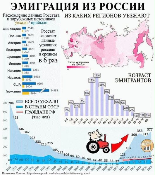  В поисках тихой гавани 