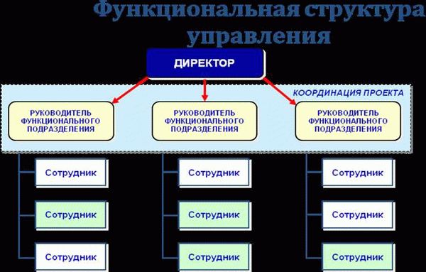 Проектирование автомобильных и железных дорог