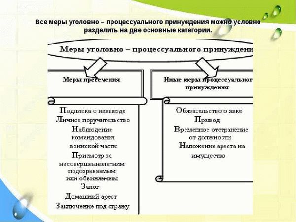 Процессуальные меры пресечения