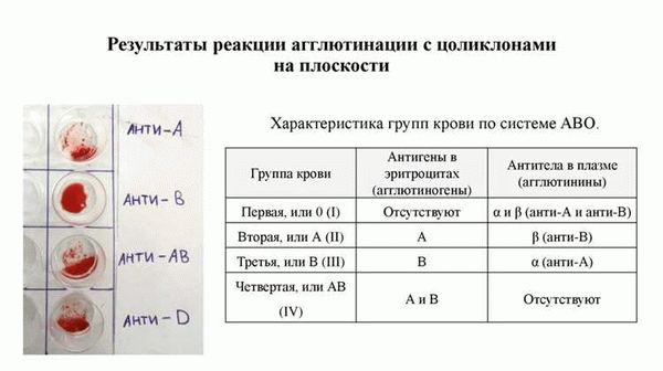 Факторы, влияющие на группу крови