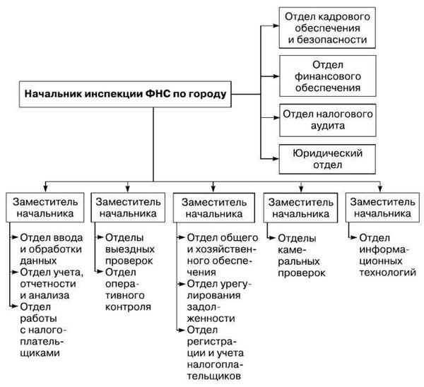 Полномочия Федеральной налоговой службы