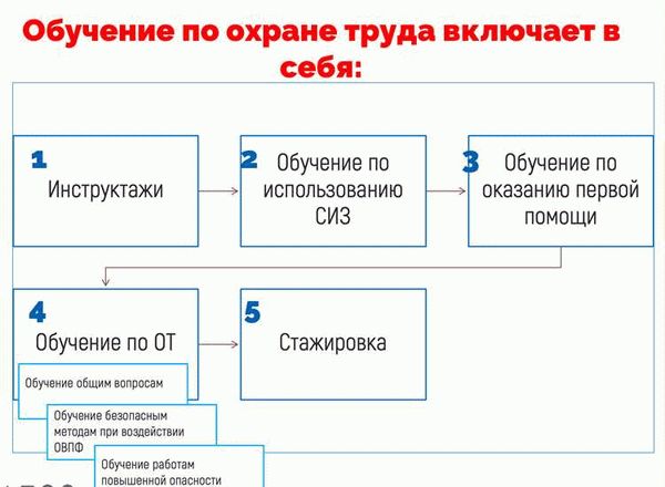 Кто проводит обучение?