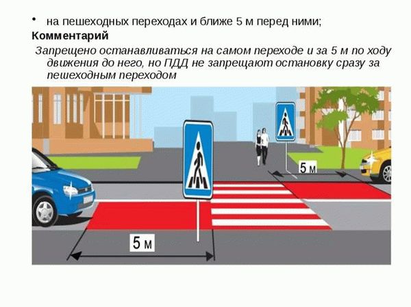 Всегда ли предусмотрен штраф за остановку на автобусной остановке?