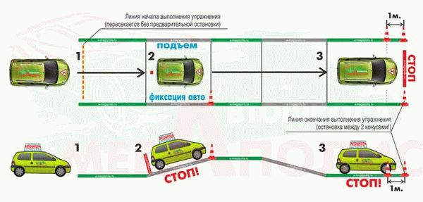 Пошаговый алгоритм для начинающих