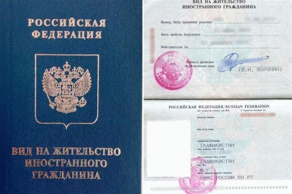 Полный список для оформления гражданства РФ в 2023 году: