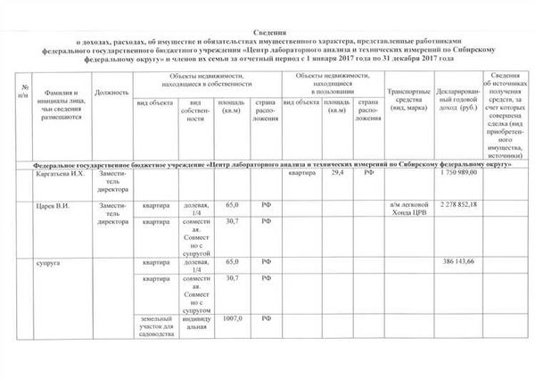 Итоги и перспективы развития: