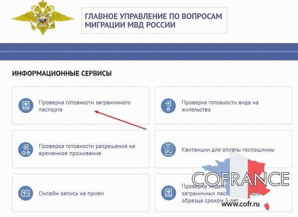 Онлайн статистика готовности загранпаспортов РФ: быстрый и удобный доступ