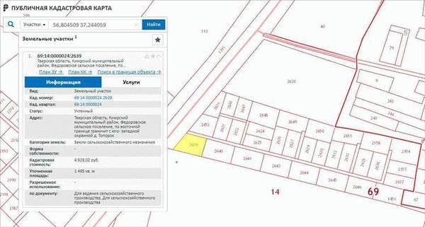 Преимущества использования онлайн Реестра для проверки кадастрового номера