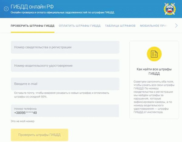 Что такое штрафы ГИБДД и почему их нужно проверять