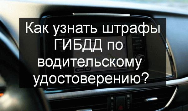 Какие данные содержатся во внутренних базах Госавтоинспекции?