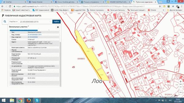 Поиск земельного участка на ПКК Омской области