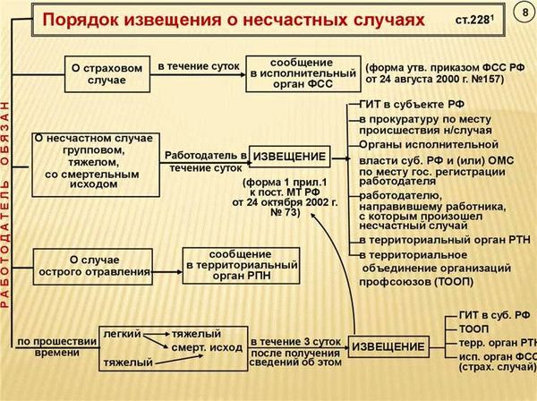 Расследование несчастных случаев: порядок и сроки