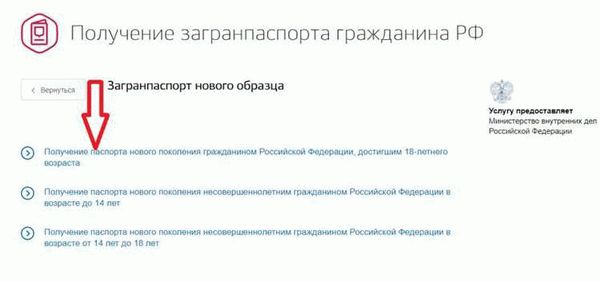 Можно ли ускорить процесс получения загранпаспорта на Госуслугах и какие сроки ожидания на это обычно требуются