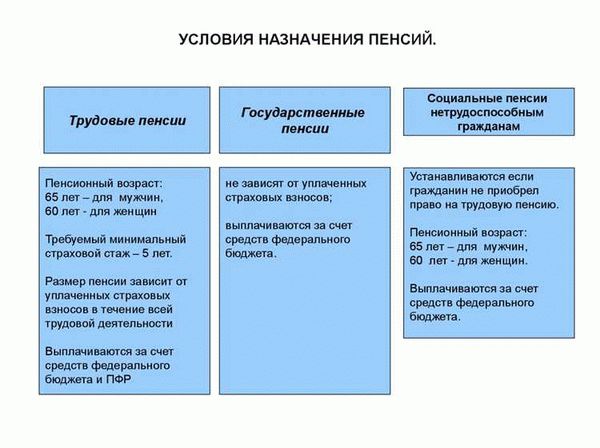 Социальная пенсия: кто имеет право на ее получение