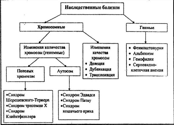 Статья 1165 ГК РФ, действующая редакция гражданского кодекса на 2024 год с комментариями