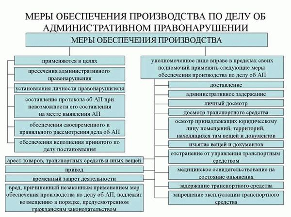 Меры административно-процессуального обеспечения