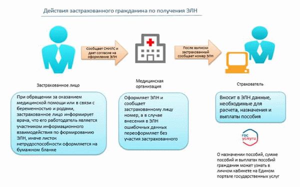 Статусы электронного больничного: 030, 010, 020, 090 в 2024 году: